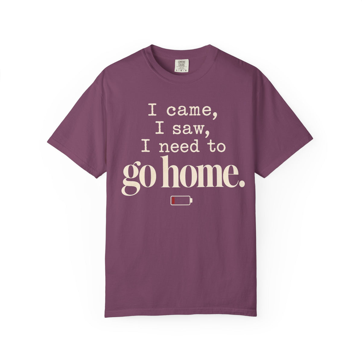 I came.  I saw.  I need to go home. T-shirt