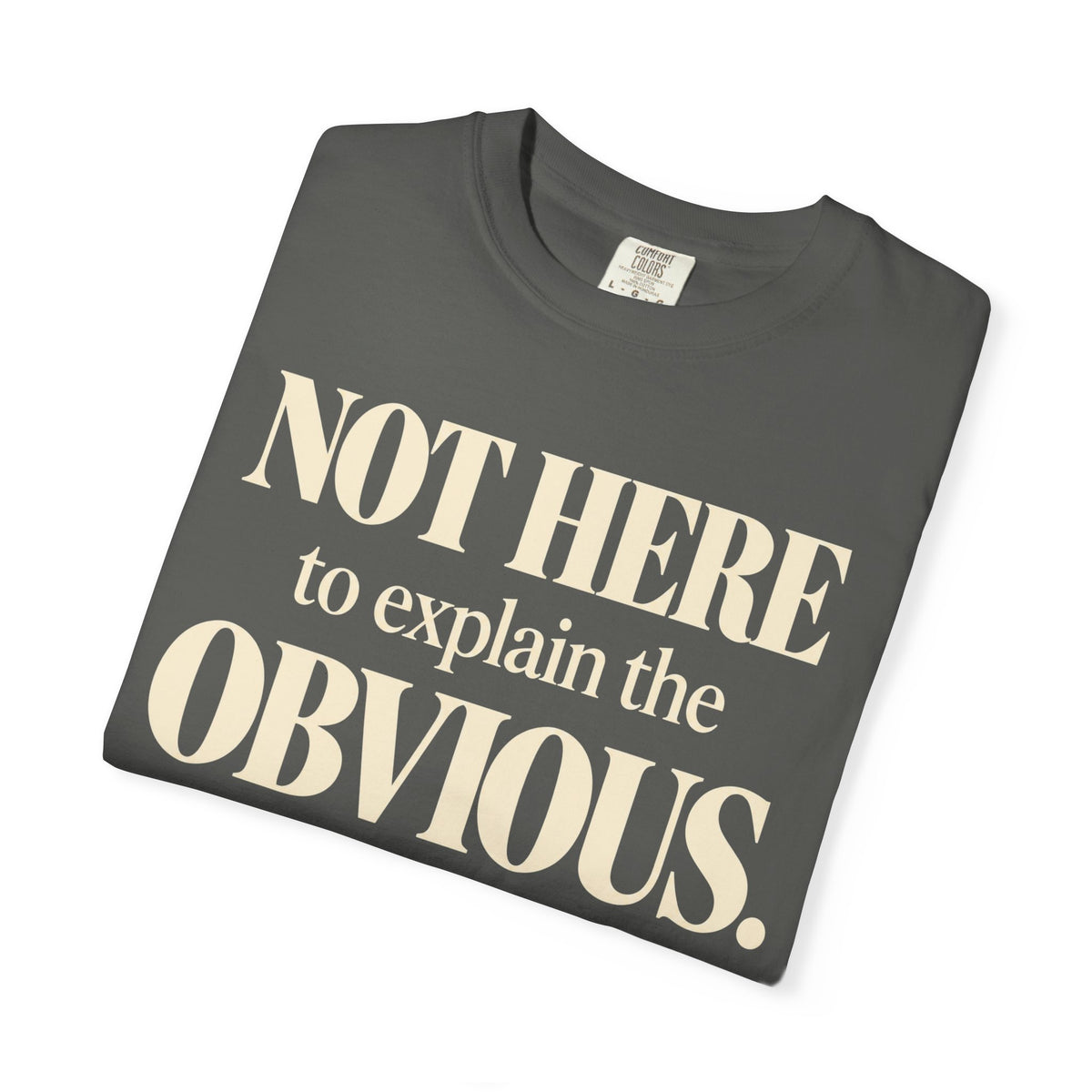Not here to explain the obvious T-shirt