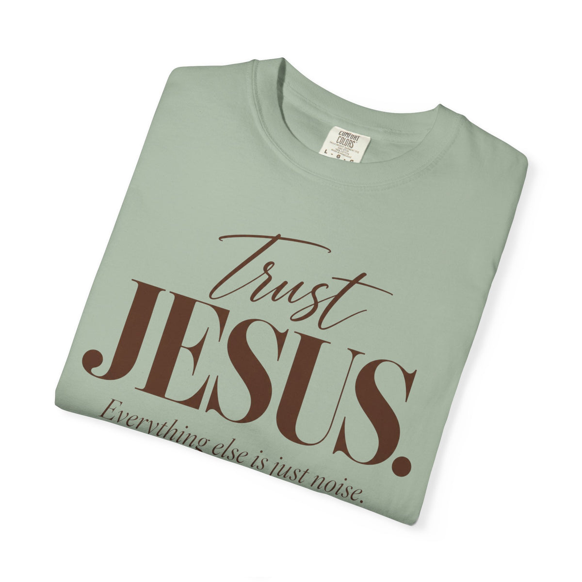 Trust Jesus.  Everything else is just noise T-Shirt