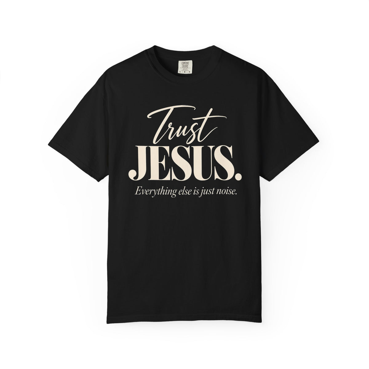 Trust Jesus.  Everything else is just noise T-Shirt
