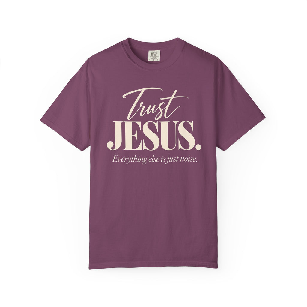 Trust Jesus.  Everything else is just noise T-Shirt