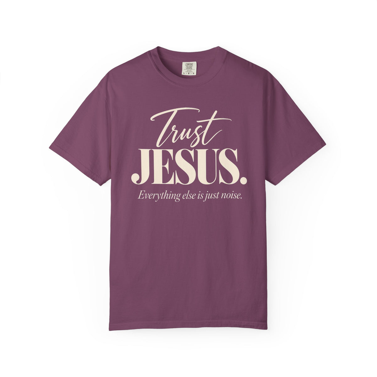 Trust Jesus.  Everything else is just noise T-Shirt