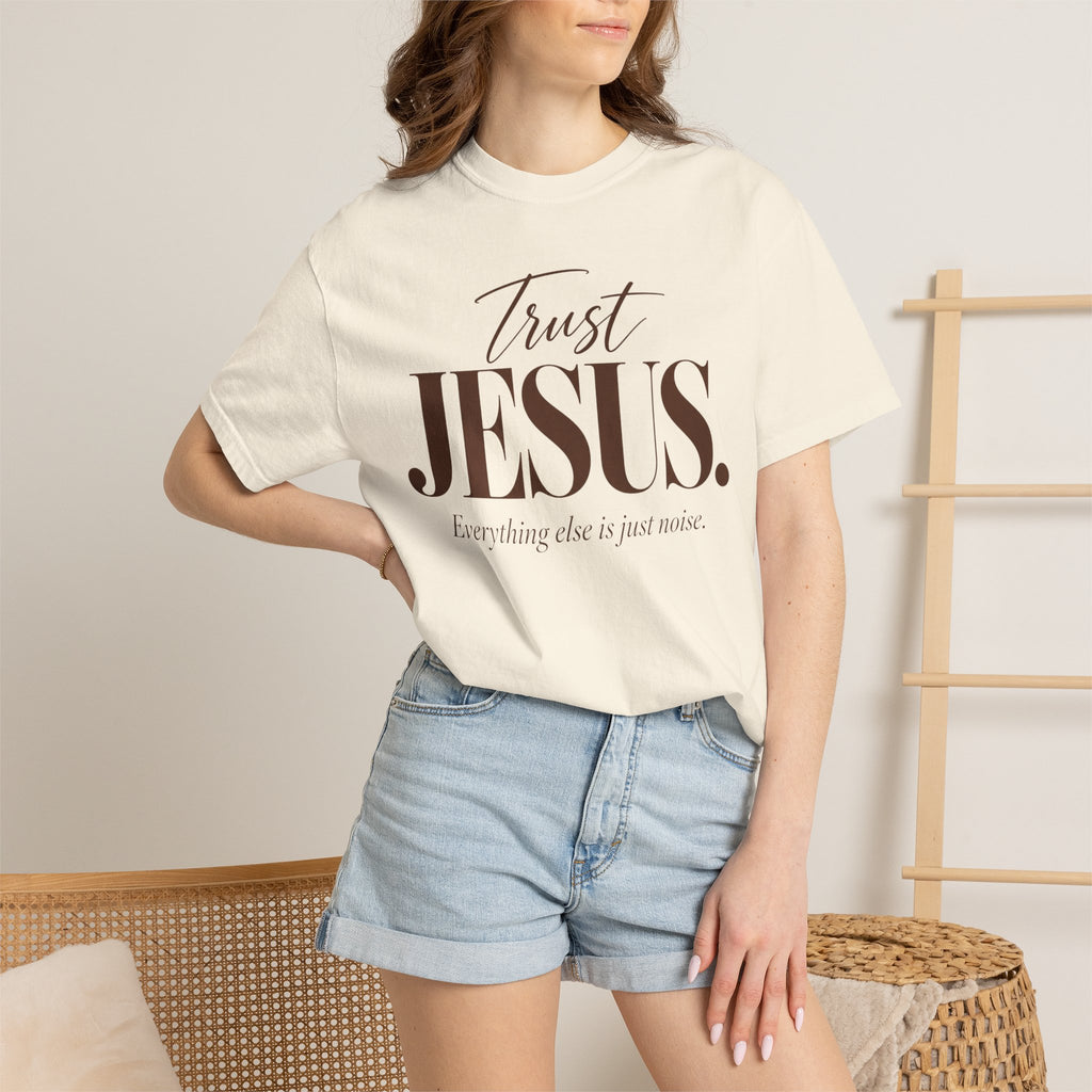 Trust Jesus.  Everything else is just noise T-Shirt