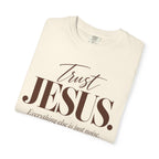 Trust Jesus.  Everything else is just noise T-Shirt