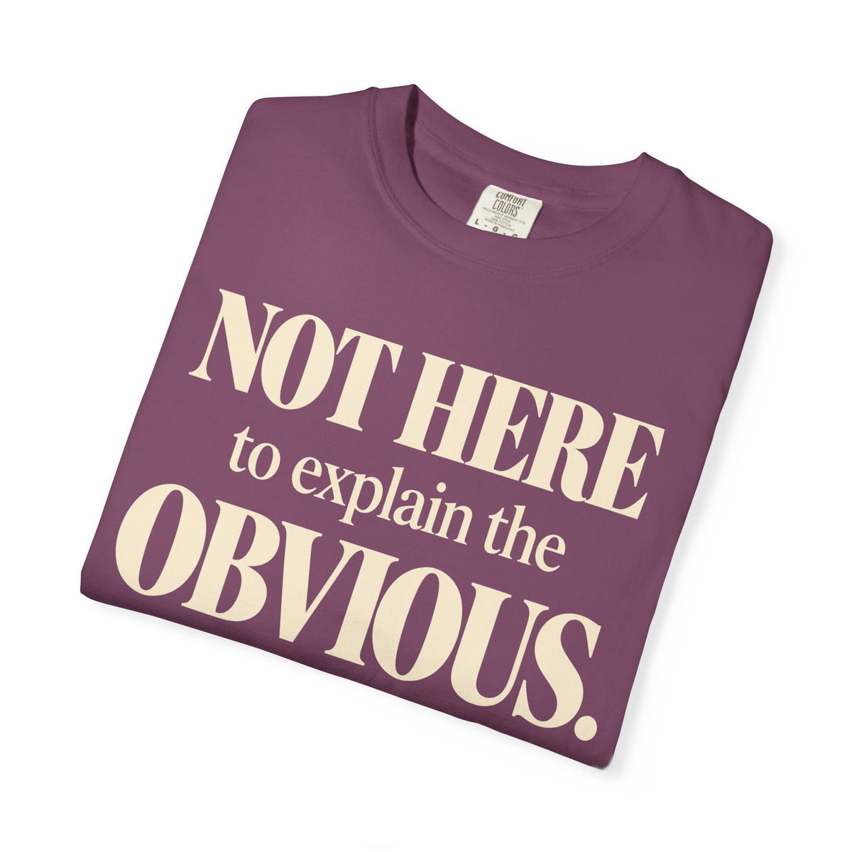 Not here to explain the obvious T-shirt