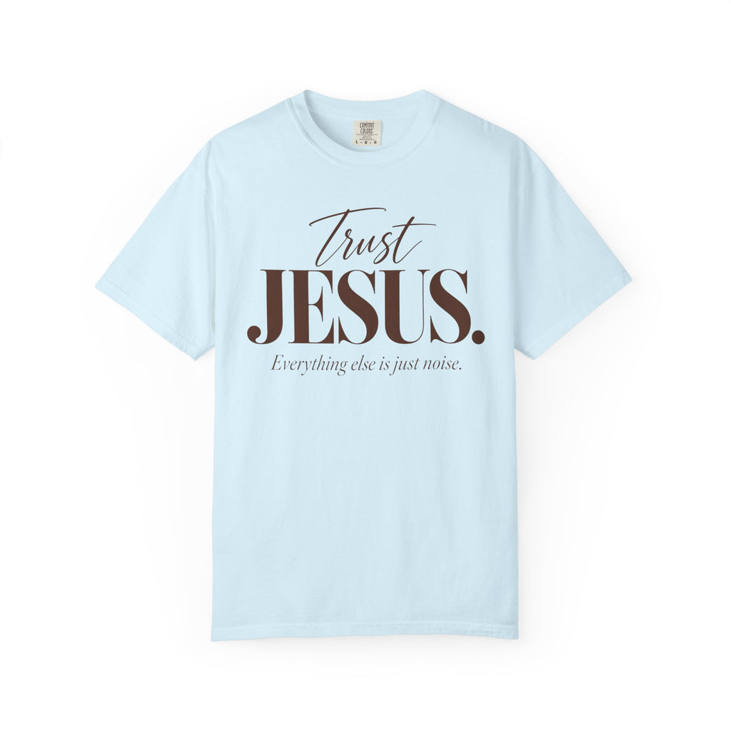 Trust Jesus.  Everything else is just noise T-Shirt