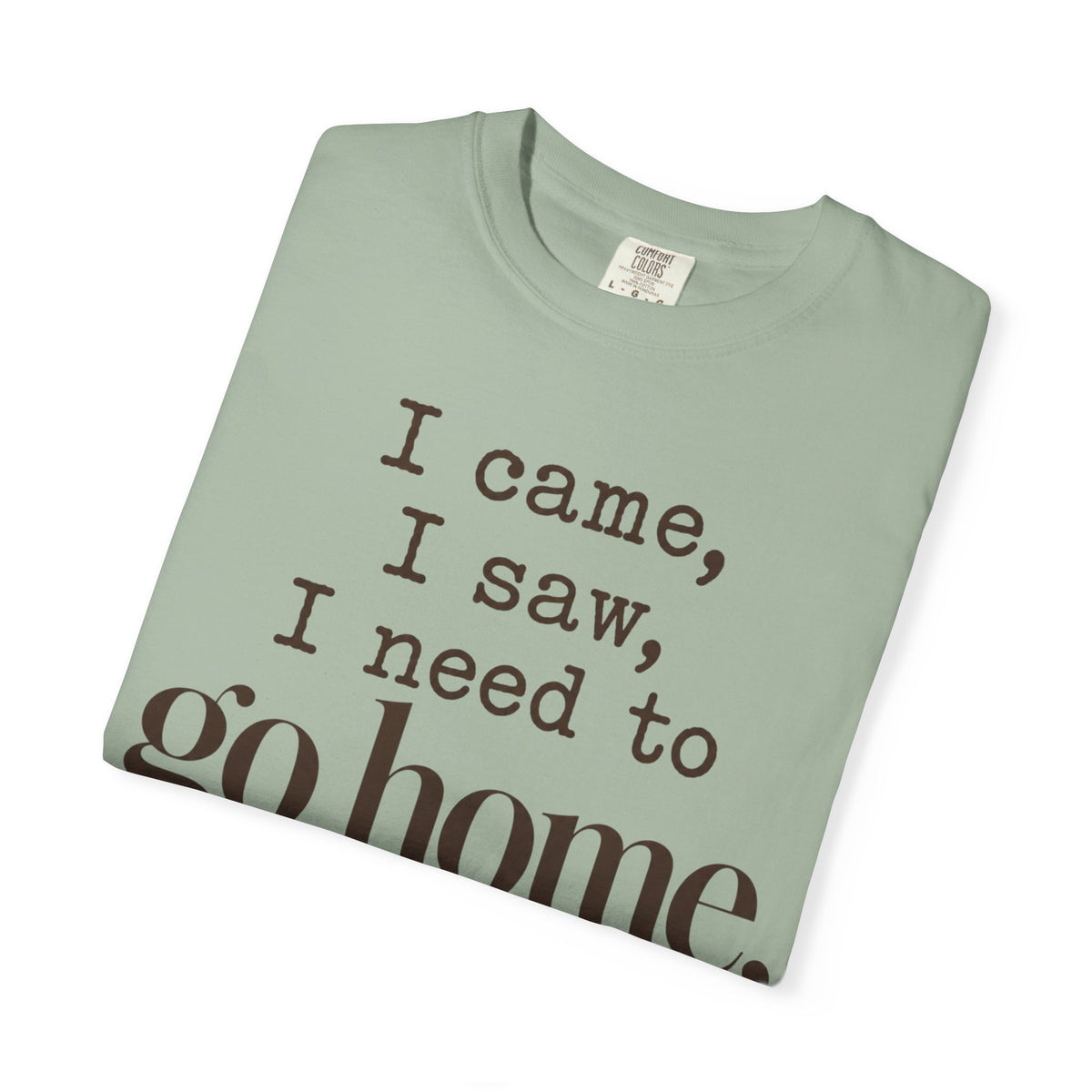 I came. I saw. I need to go home. T-shirt