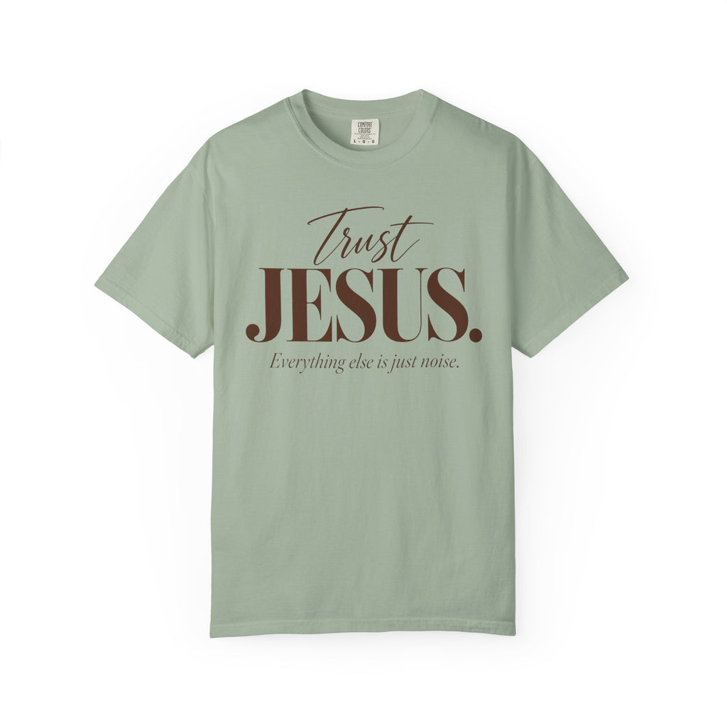 Trust Jesus.  Everything else is just noise T-Shirt