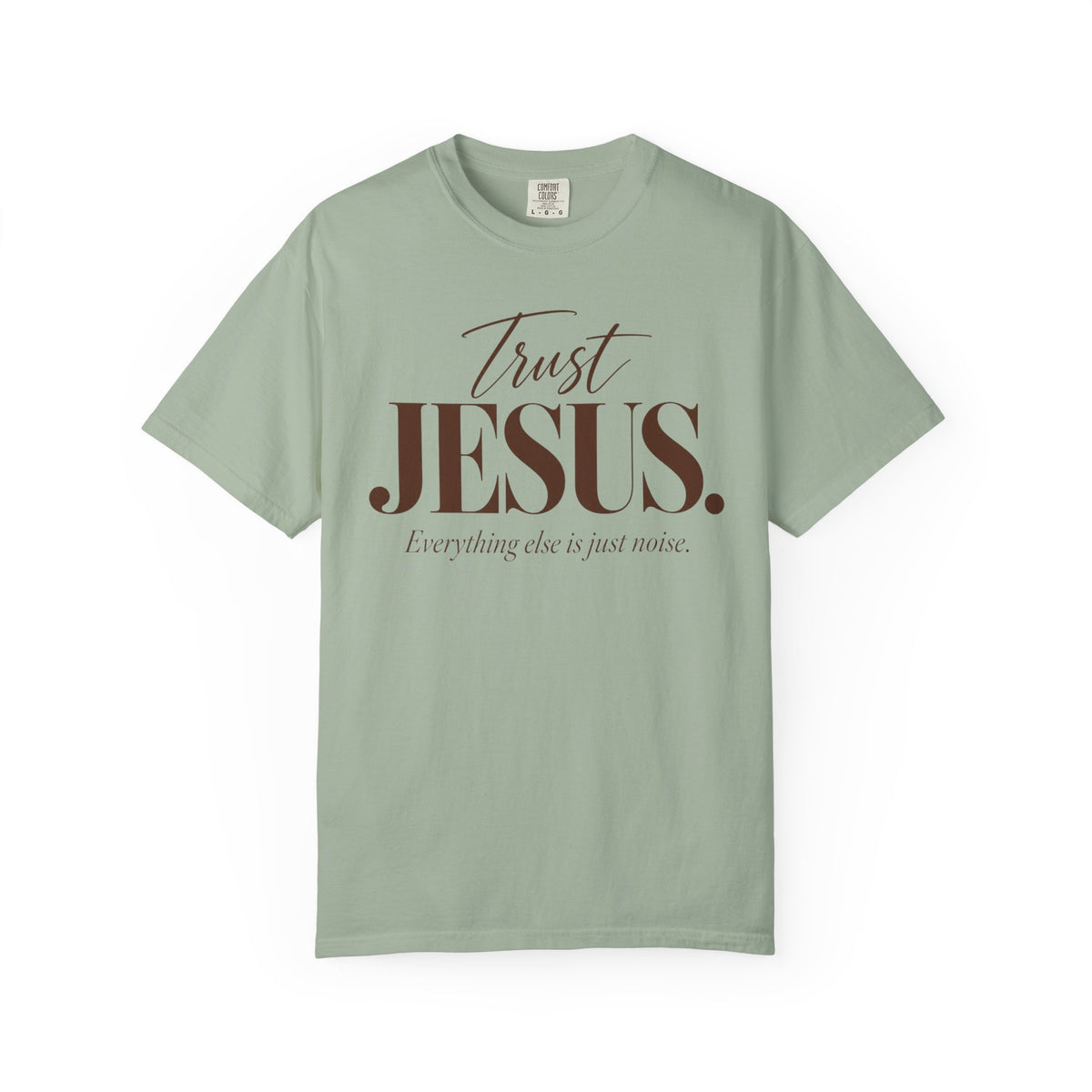 Trust Jesus.  Everything else is just noise T-Shirt