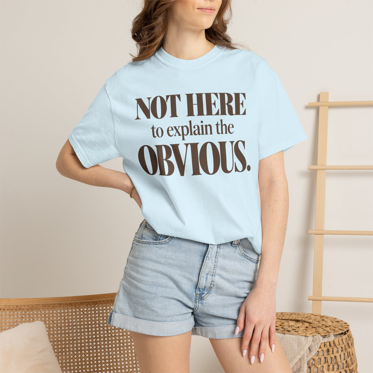Not here to explain the obvious. T-shirt