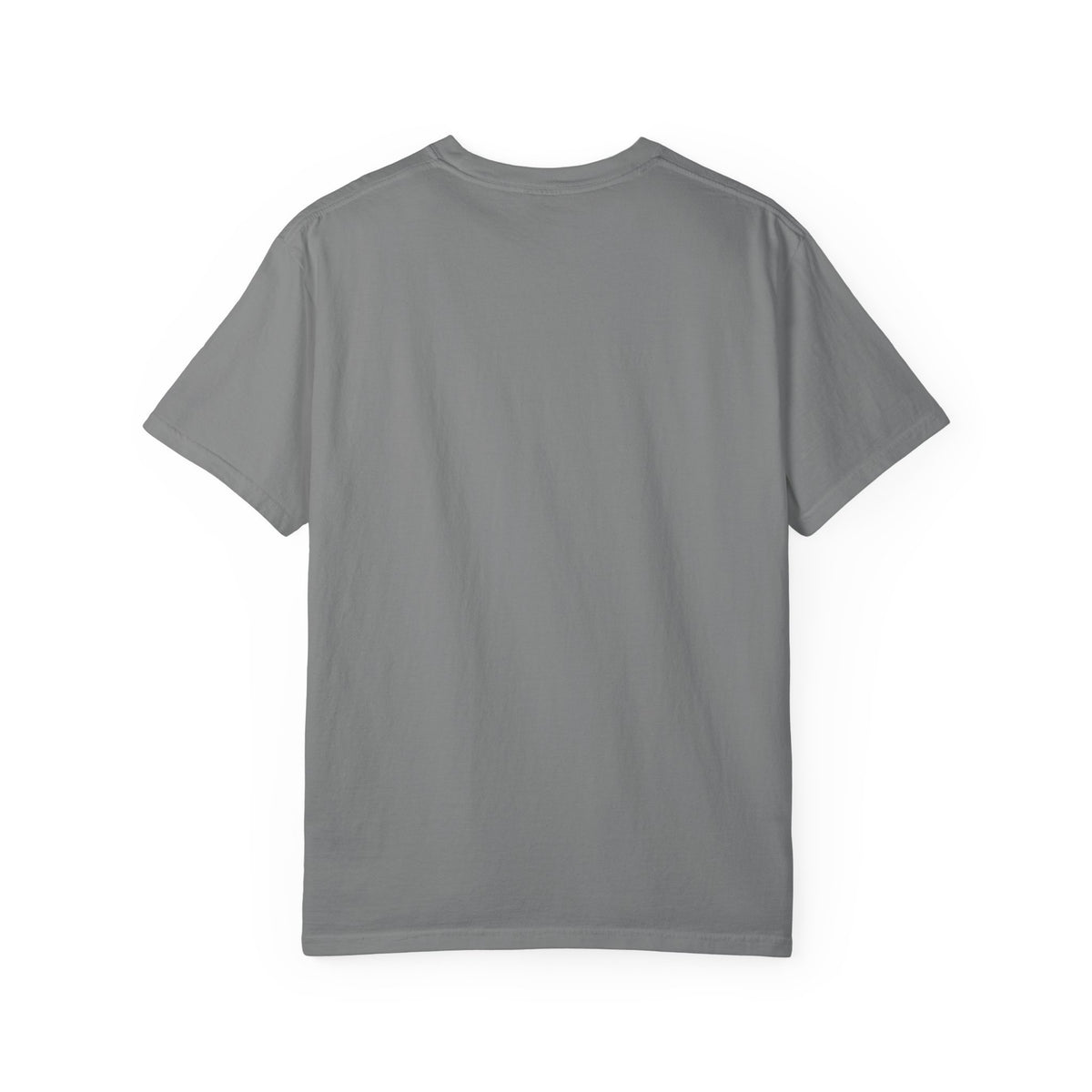 I came.  I saw.  I need to go home. T-shirt