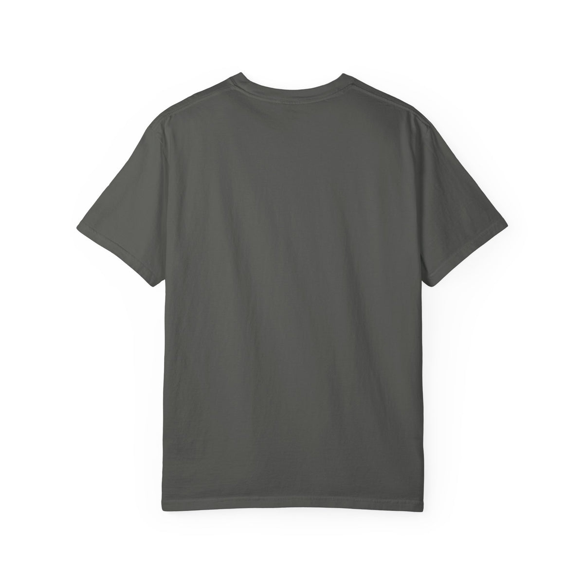 Trust Jesus.  Everything else is just noise T-Shirt