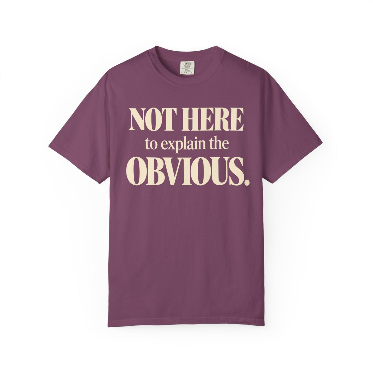 Not here to explain the obvious T-shirt