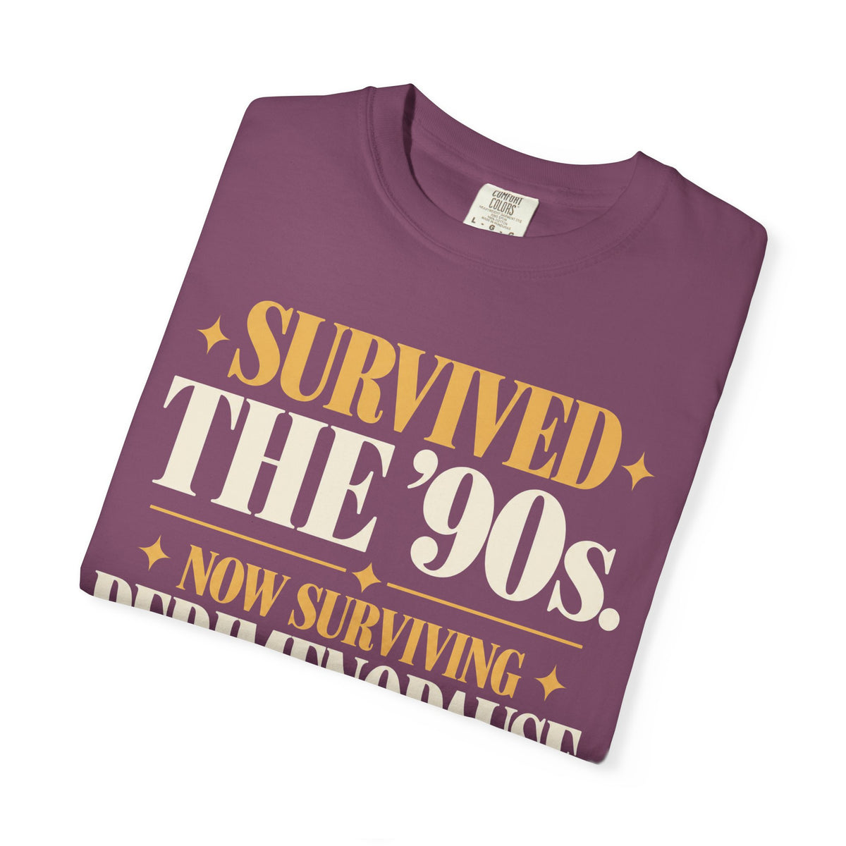 Survived the 90's.  Now surviving perimenopause T-shirt
