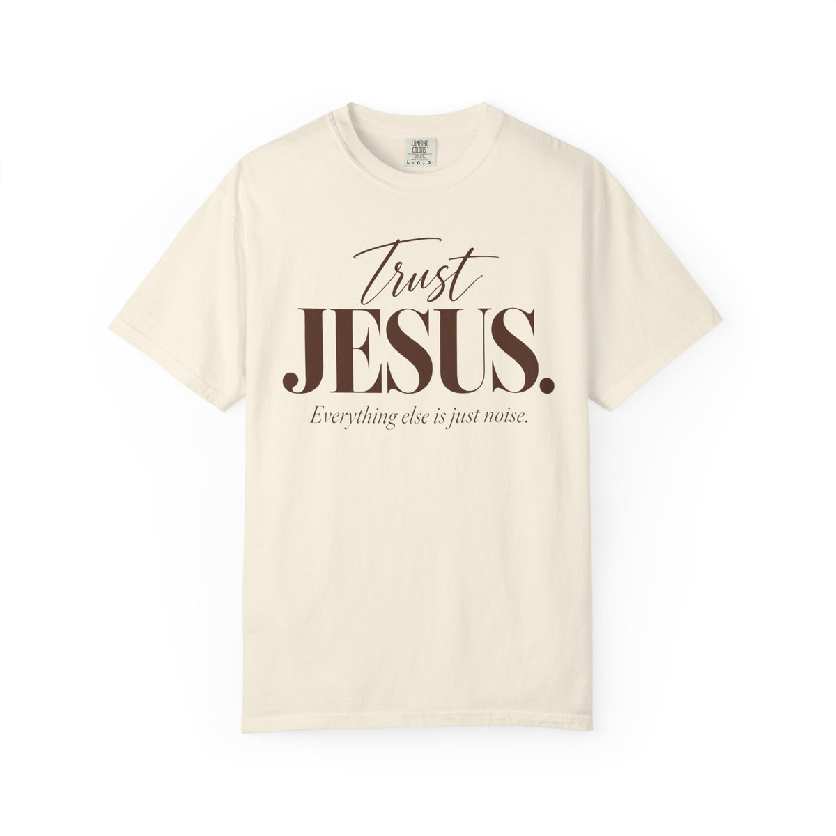 Trust Jesus.  Everything else is just noise T-Shirt