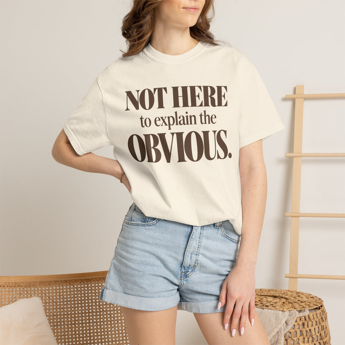 Not here to explain the obvious. T-shirt