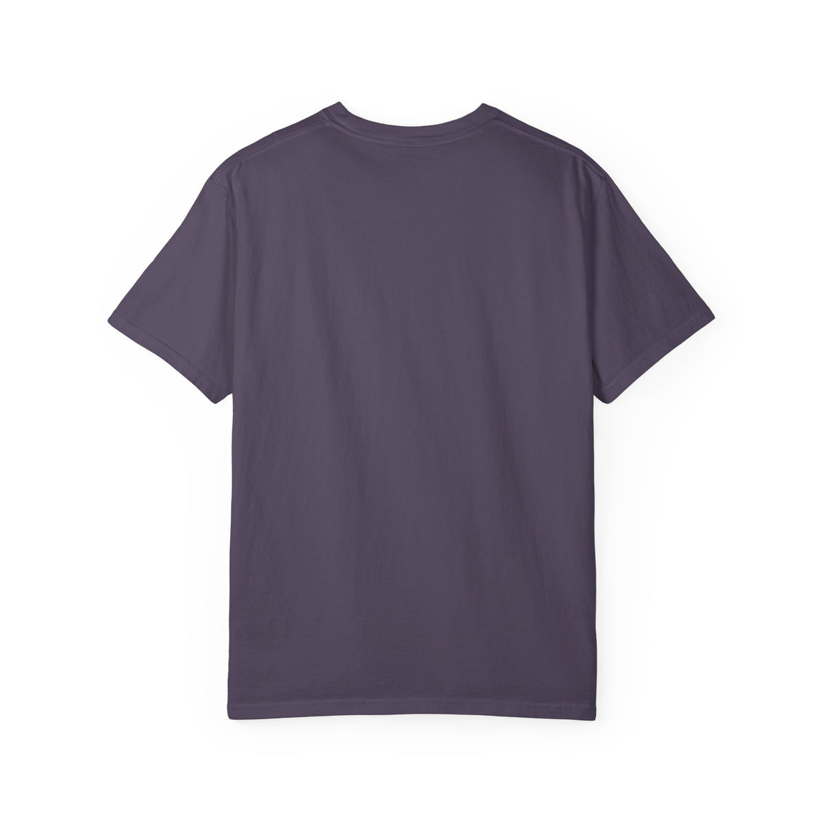 God spoke. Glory followed T-shirt