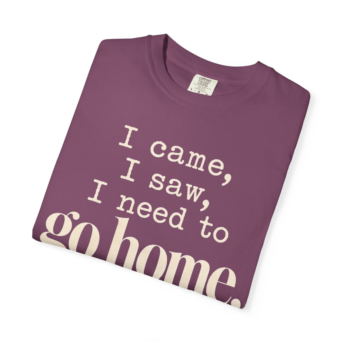 I came.  I saw.  I need to go home. T-shirt