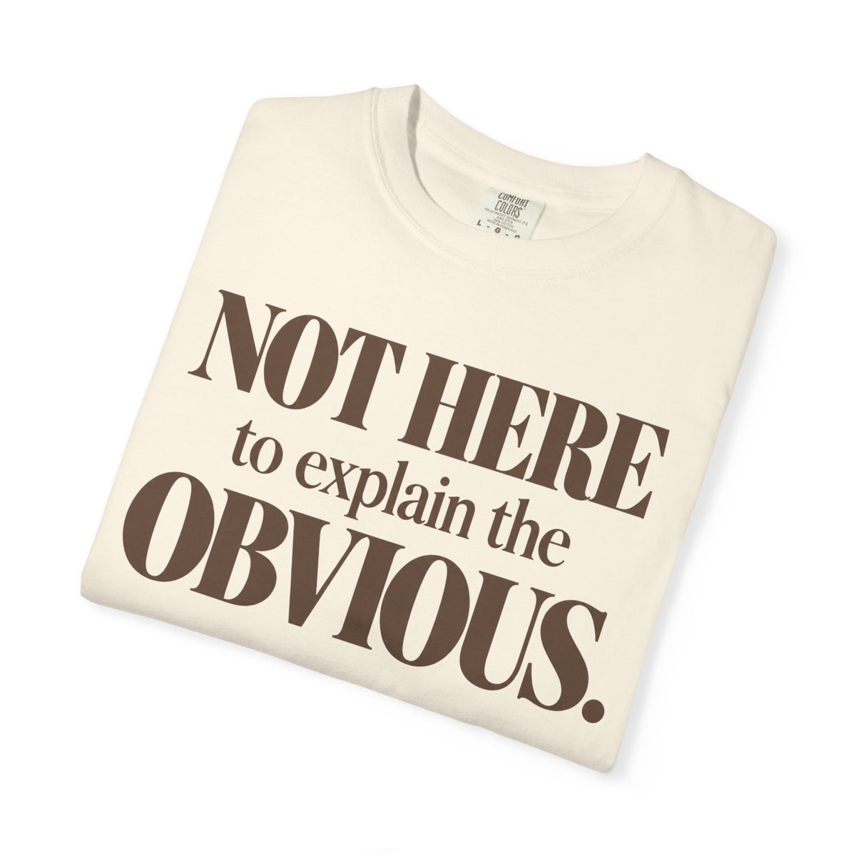 Not here to explain the obvious. T-shirt