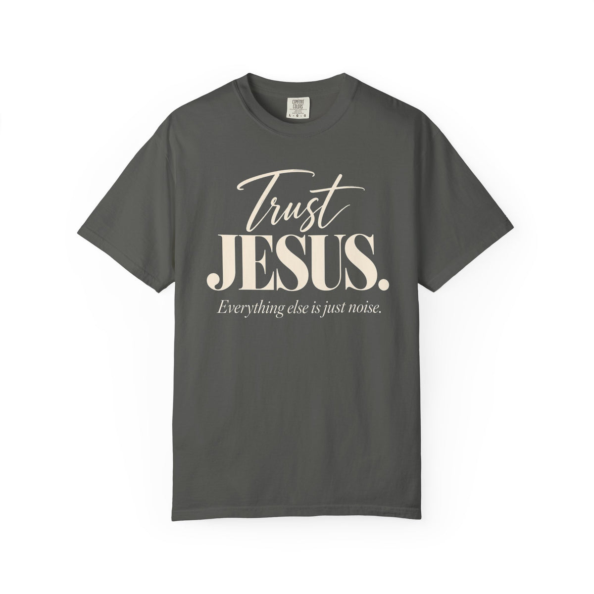 Trust Jesus.  Everything else is just noise T-Shirt