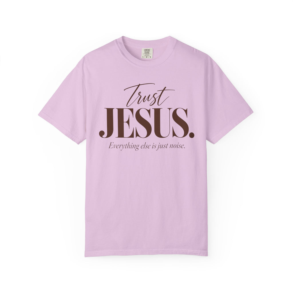 Trust Jesus.  Everything else is just noise T-Shirt
